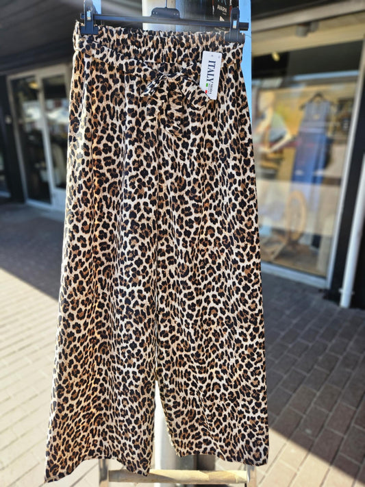 Leopard