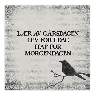 "Lær av gårsdagen lev for i dag håp for morgendagen" servietter20pk